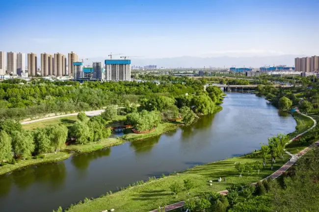 中旅名门府