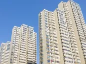 上海全面推进城市数字化转型