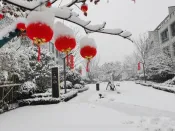 抗击疫情 | 雪下的那么深 却有人那么认真