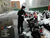 雪中有景 疫中有情