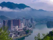 “流量式投资”遭反噬 基金销售端痼疾凸显