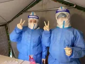 抗疫日记 | 一颗白菜的故事