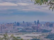 深交所免收深市公司2022年上市初费等三项费用