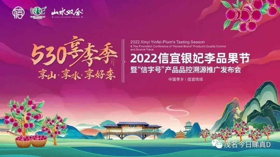 信宜二手房市场动态：买家与卖家的双向奔赴