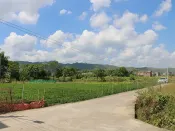国家发改委:储备化肥已按要求开始向市场投放