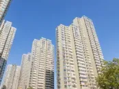 一张表总览上市物企业务划分,看蕴藏哪些发展启示