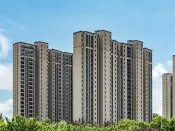 中指家居行业资讯动态（5月刊）