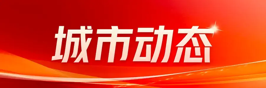 2024新奥免费资料网站：综合解答解释落实_青铜版2024.11.08