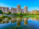 深圳龙华提前完成2023治违任务，为何违建屡禁不止？