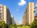 上海两区发布最新人才购房政策,为何不全面放开楼市限购?