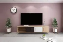 ���ܵ��ӻ���ô������Ƶ��?�����ǻ�����������