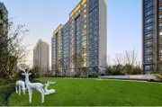 大华服务2025：与城市共生共荣，共享美好生活新篇章