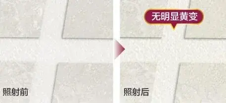 ���������������ͻƱ�ȼ���