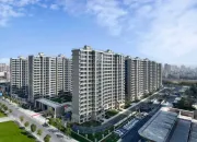 远洋建管：以专业为术，做“项目医生”