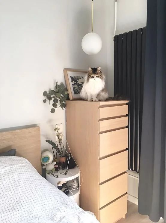 ����