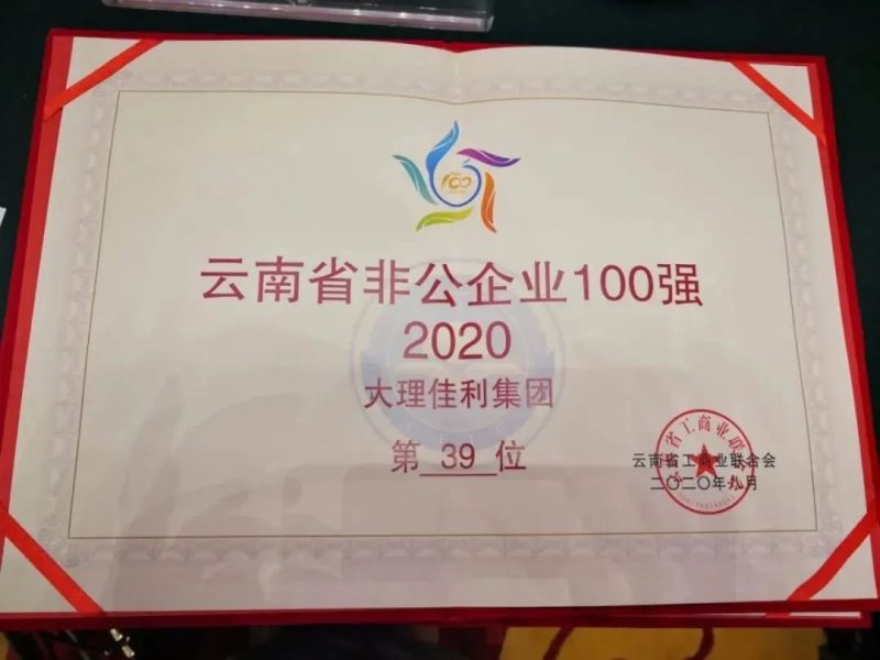 大理佳利集团荣膺2020非公企业100强！